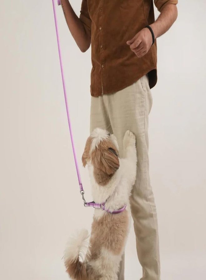 KittuPet طقم سرج ومقود للكلاب من KittuPet - سرج قابل للتعديل بدون شد مع مقود بطول 3 أقدام - حلقة مزدوجة على شكل حرف D، سهل الارتداء - سهل المشي والجري والتدريب للكلاب من السلالات الكبيرة (متعدد الألوان) - Image 5